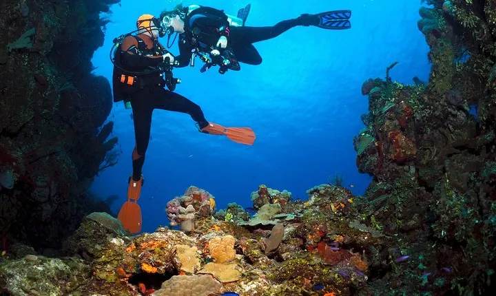 Dive 3 points on Bunaken Island including lunch