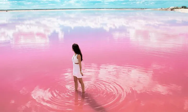 Tour to Pink Lake and Rio Lagartos from Cancun