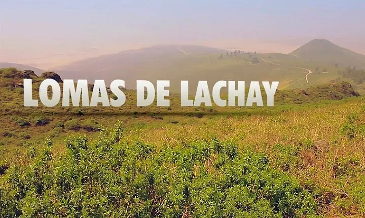 Hiking in Lima, Lomas de Lachay