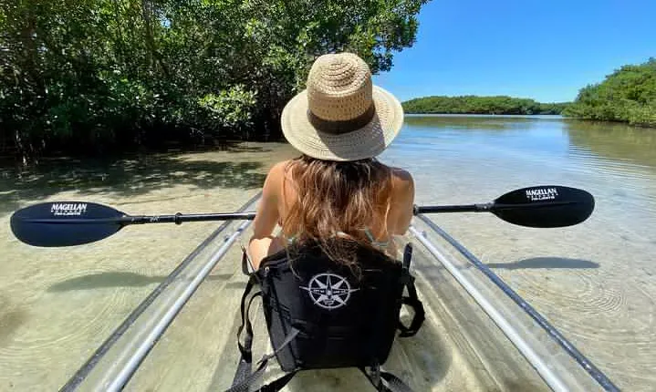 Clear Kayak Tour of Shell Key Preserve and Tampa Bay Area