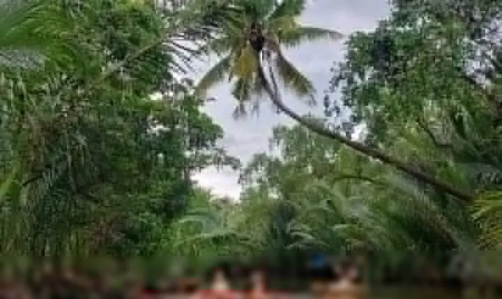 Kampot Countryside, Pepper, and Kayak Tour Including Lunch