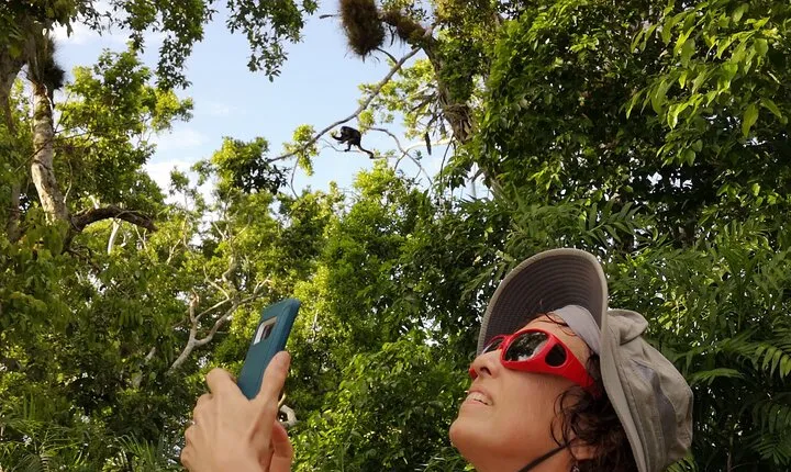 Yaxha Archaeological Focus Day Tour with Monkeys Spotting