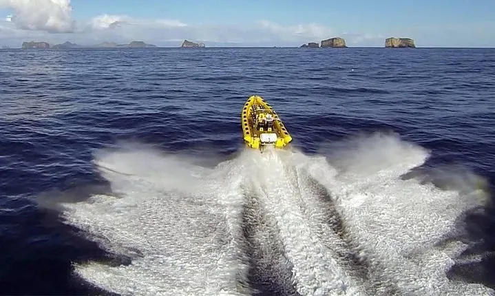 2 hour Round Trip in Vestmannaeyjar on a RIB Boat