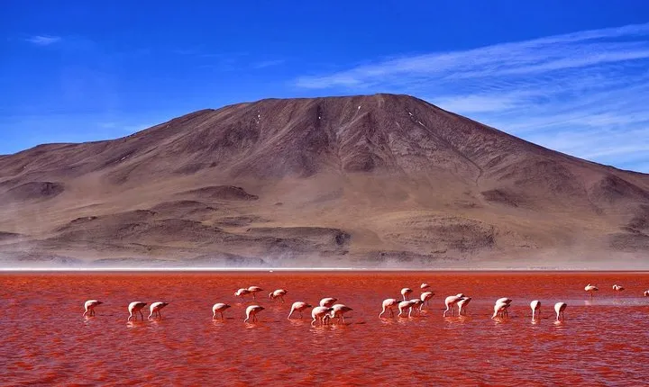 6-Days Discovering 2 of the World's Largest Salt Flats, Atacama & Uyuni