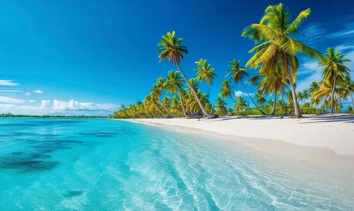 Explore Catalina Island & Snorkeling Adventure from Punta Cana