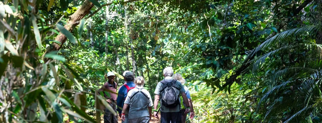 Sri Lanka rainforest two-day tour in Sinharaja Eco Lodge