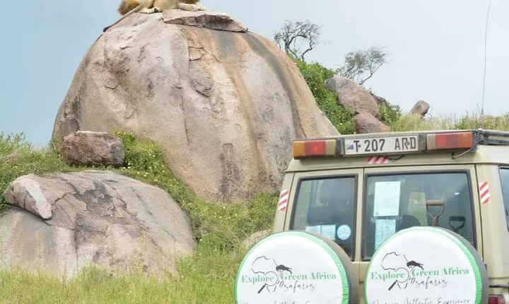 5 Day Northern Serengeti Great Migration Crossing Mara River 