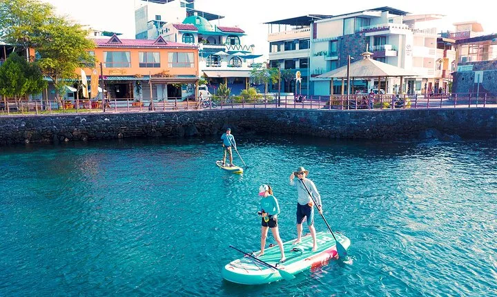 SUPER BAY