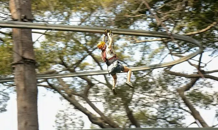 Jungle Flight Zipline Adventure From Chiang Mai