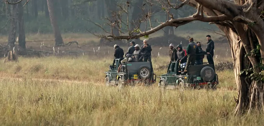 Tigers & Trails: Safari Adventure in Central India