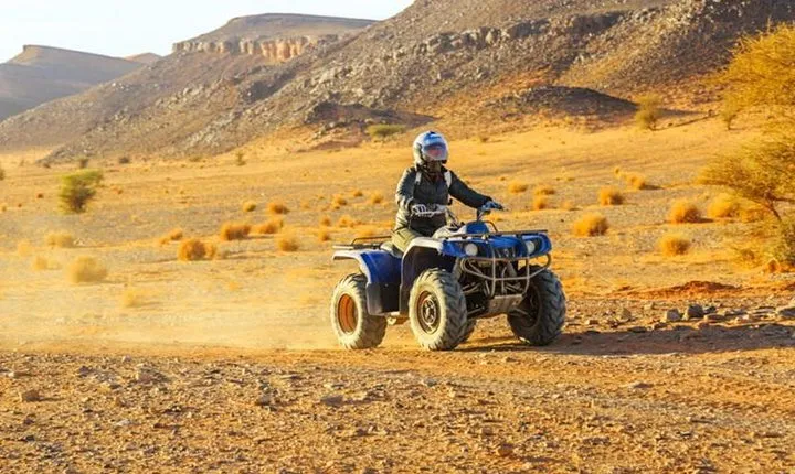 Quad and Camel ride in the palmgrove of Marrakech