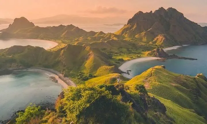 1 Day Komodo Trip By Shared Fast Boat