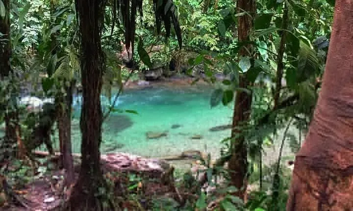 Rivering in The Danube (The Mermaid)