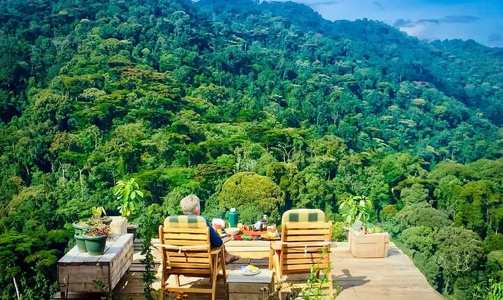 4 Days Uganda Gorilla Private Trekking and Queen Elizabeth park