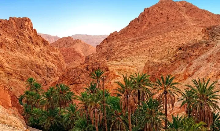Immerse yourself in the Serenity of Southern Tunisia
