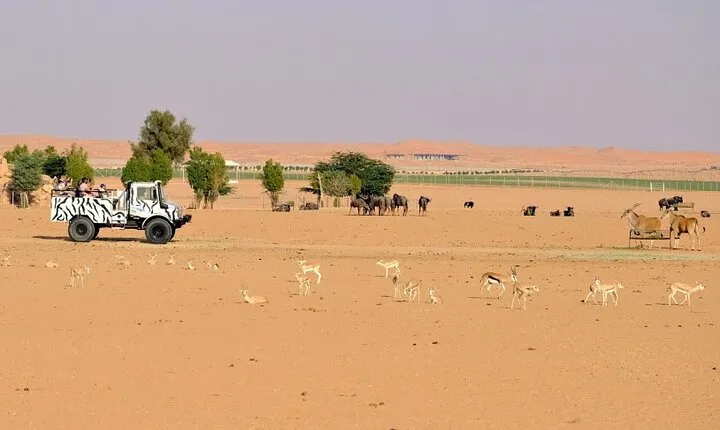 An Exciting Adventure on an Open Safari Vehicle at Nova Park