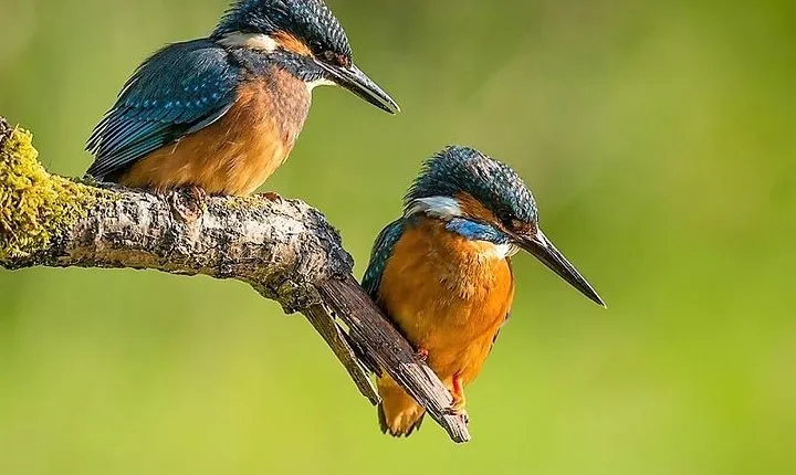 Day Tour to Anawilundawa Wetland Sanctuary
