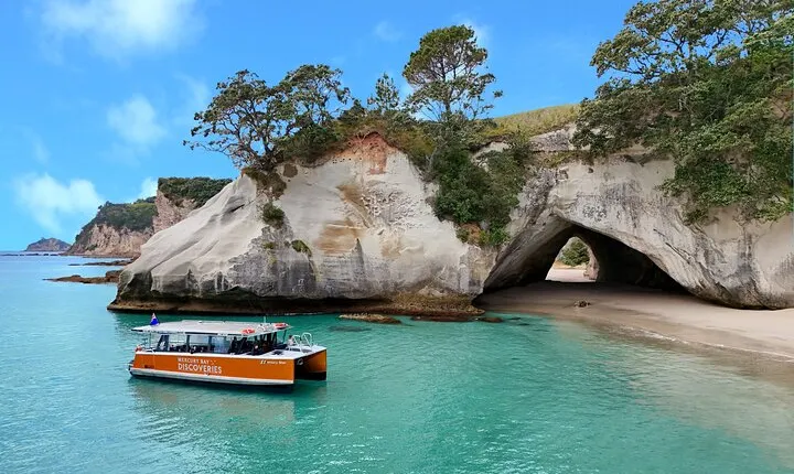 Cathedral Cove Coast and Cave Activity