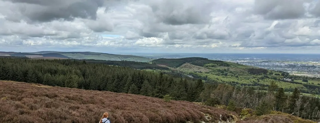 Dublin tall tales and treetop trails full-day tour