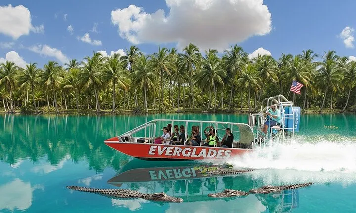 Miami: Everglades Airboat and Wildlife Experience