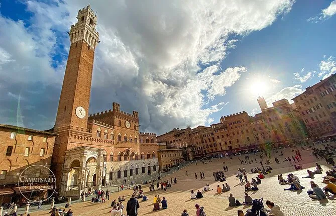 Private tour to the Gothic Siena