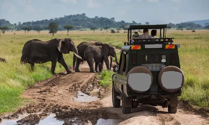 6-Day Best of Tanzania Wildlife Safari- Comfort