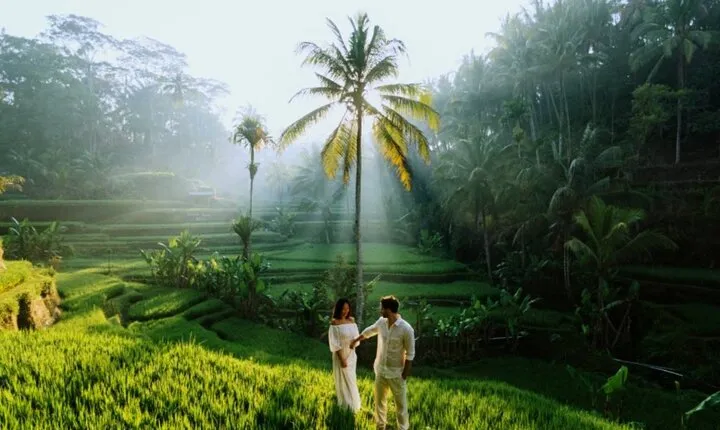 Private Tour Guide - Ubud Rice Terraces Temple & Waterfall