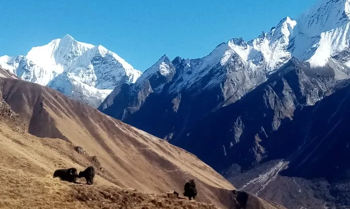 7 Day Guide Only for Private Langtang Trek from Kathmandu