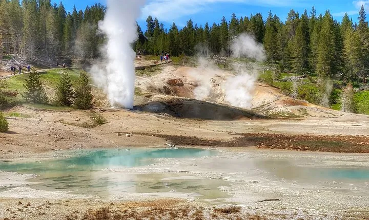 North Yellowstone Day Tour (Lamar Valley) Private Day Tour
