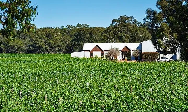 Upper Reach Winery: Swan Valley Winery and Vineyard Tour