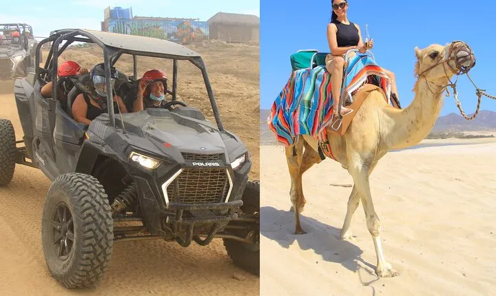 Combo Camel Ride and Extreme Side by Side in Cabo