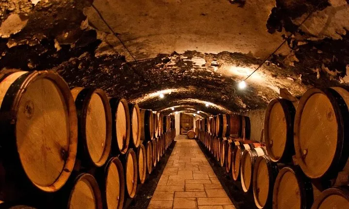 Champagne Region excursion from Paris with Private Driver