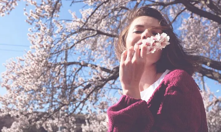 Asakusa: Cherry Blossom Viewing and History Tour