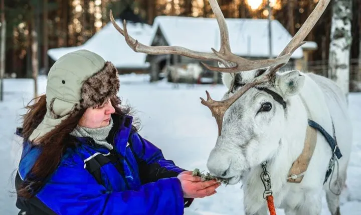 Reindeer Safari at a 200-Year-Old Rovaniemi Farm & Long Sled Ride