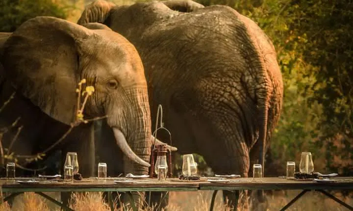 3 Days Safari - Mikumi National Park