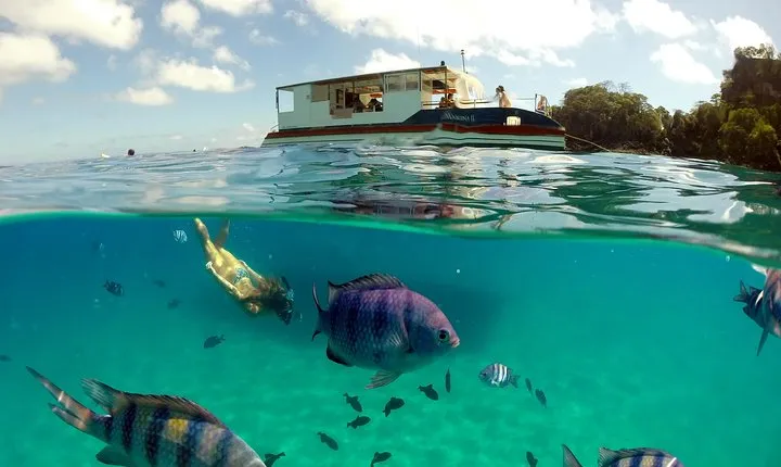 Boat Cruise and Sancho Bay Swim from Fernando de Noronha