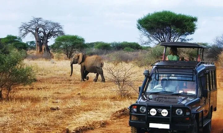 Tala Game Reserve and Natal Lion Safari from Durban