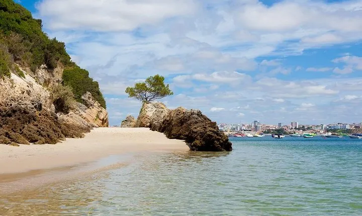 Arrabida Private Full-Day Wine Excursion