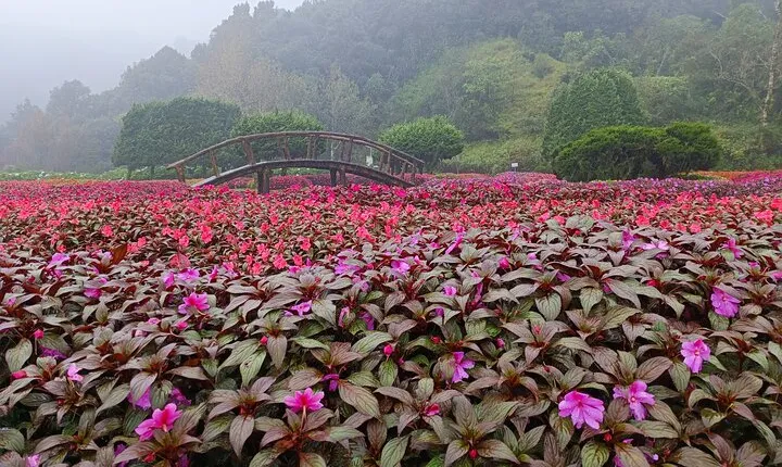 Private Doi Inthanon National Park Full Day Tour