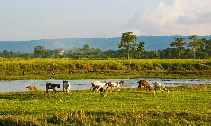 6 Days Chepang Village Homestay Hill Hike