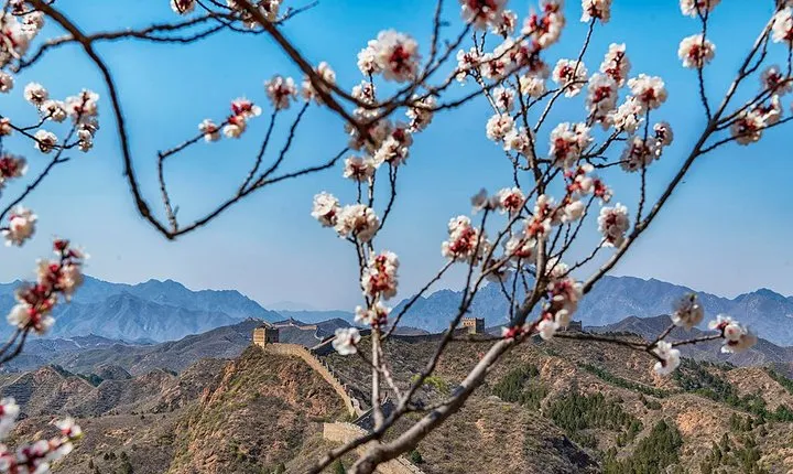 Private Transfer to Jinshanling Great Wall with Experienced Driver