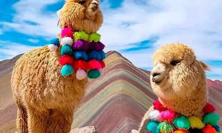 Rainbow Mountain Full Day