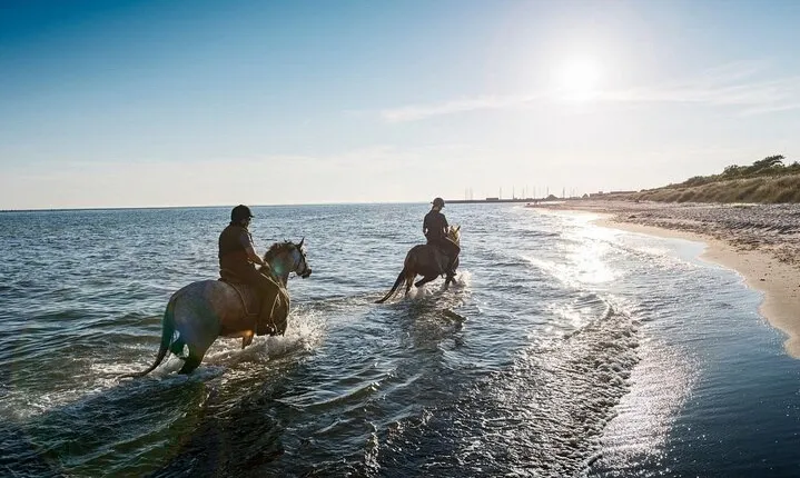 Horse Ride at Nabq Bay Beach With Transfers – Sharm El Sheikh