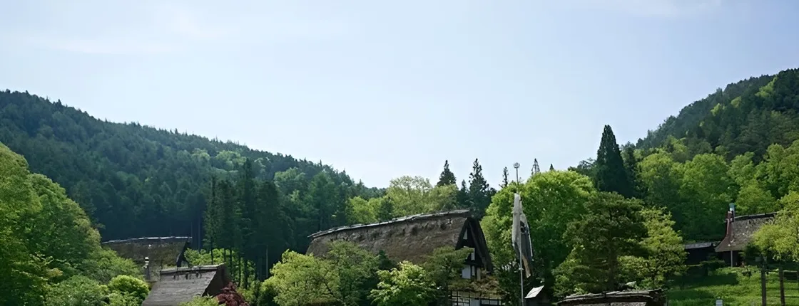 Takayama walking guided tour with optional visit to Hida village