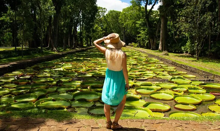 Half-Day Private Tour of North Mauritius with Pick Up