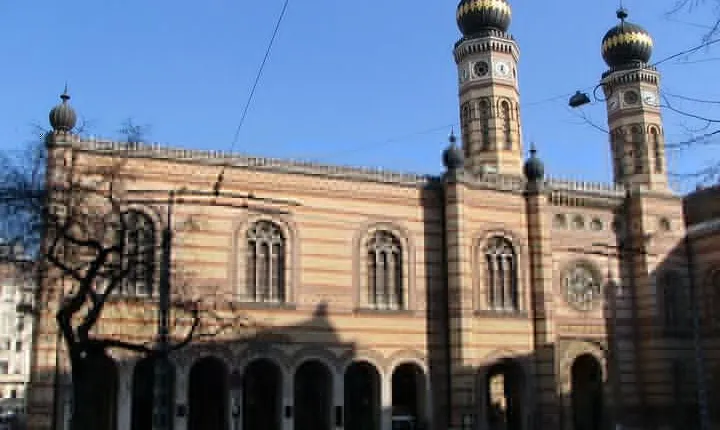 Budapest Dohany Synagogue & Hungarian Jewish Museum & free extras