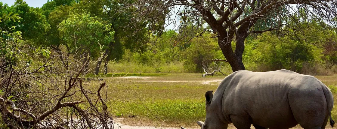Fathala Wildlife Reserve full-day tour