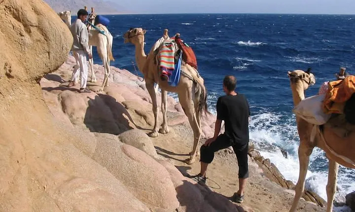 Camel Ridding marsa alam safari from Camel Yard