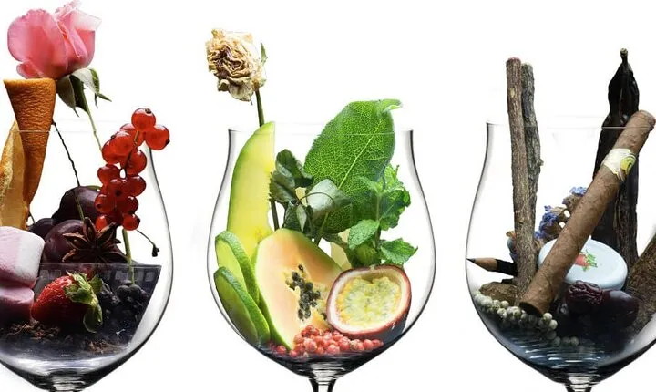 Milan: how to taste and appreciate wine with the 5 senses?