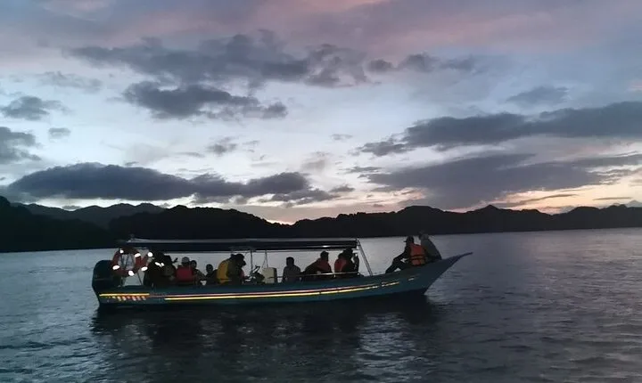 Guided Langkawi Mangrove Night Safari Tour With Dinner